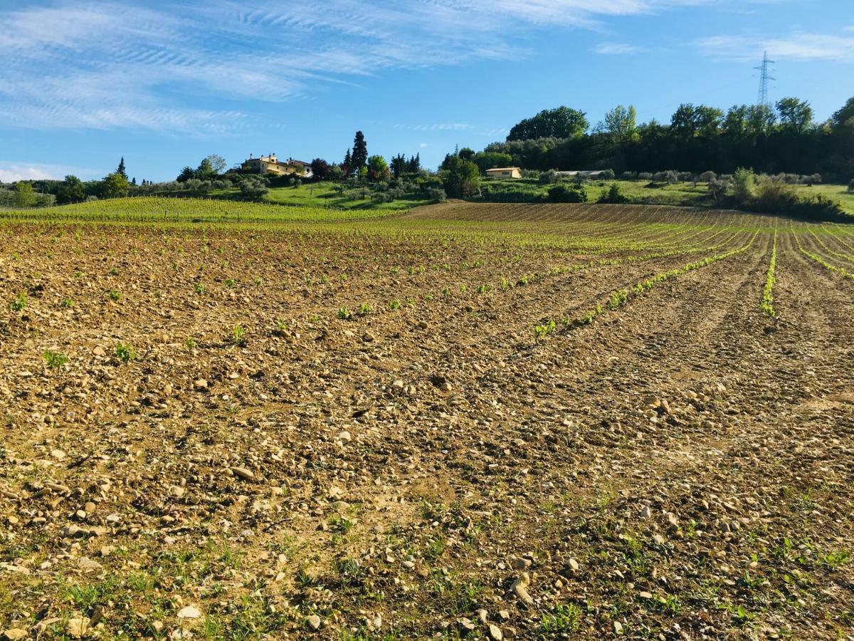 Agriturismo La Valle A Polvereto Tavarnelle Val di Pesa المظهر الخارجي الصورة