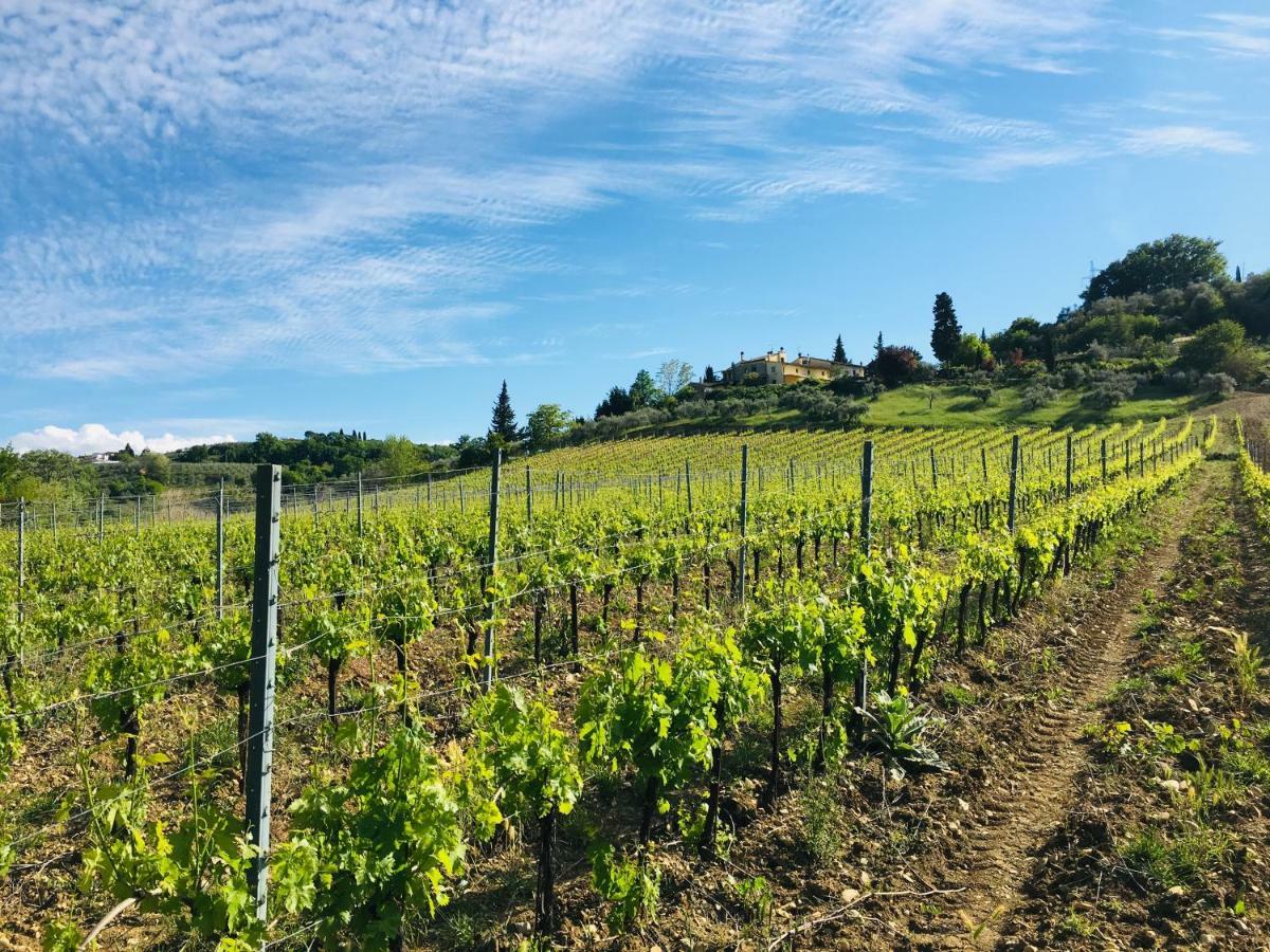 Agriturismo La Valle A Polvereto Tavarnelle Val di Pesa المظهر الخارجي الصورة