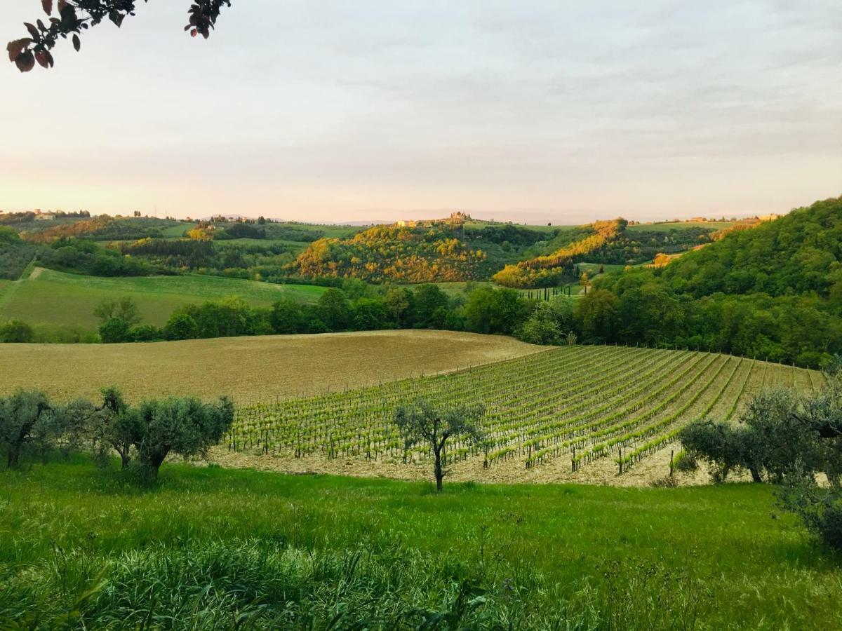 Agriturismo La Valle A Polvereto Tavarnelle Val di Pesa المظهر الخارجي الصورة